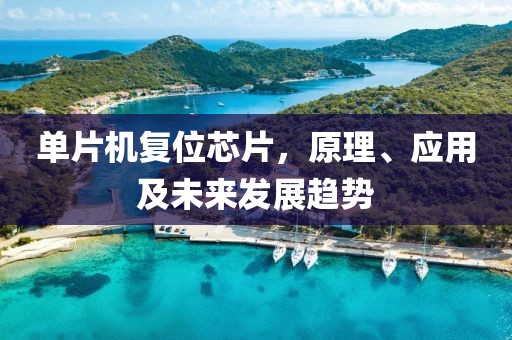 单片机复位芯片，原理、应用及未来发展趋势