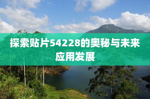 探索贴片54228的奥秘与未来应用发展