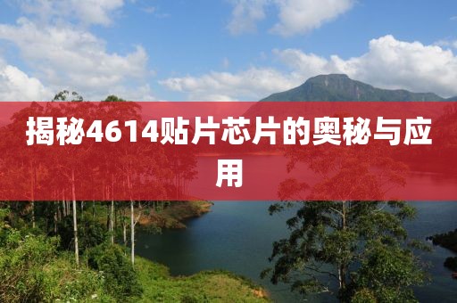 揭秘4614贴片芯片的奥秘与应用