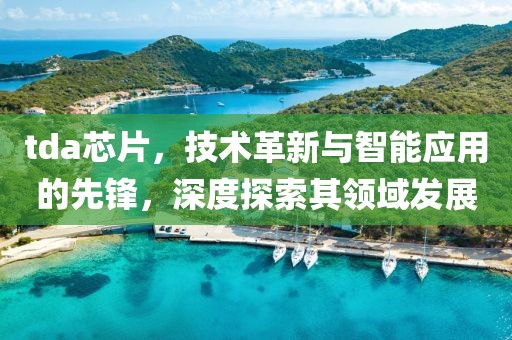 tda芯片，技术革新与智能应用的先锋，深度探索其领域发展