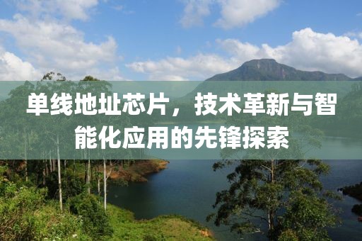 单线地址芯片，技术革新与智能化应用的先锋探索