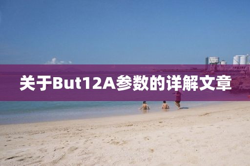 关于But12A参数的详解文章