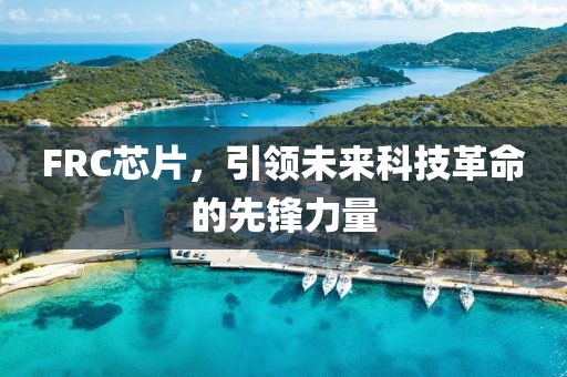 FRC芯片，引领未来科技革命的先锋力量