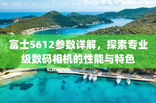 富士5612参数详解，探索专业级数码相机的性能与特色