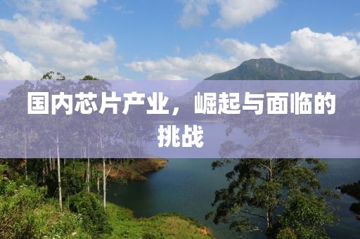 国内芯片产业，崛起与面临的挑战