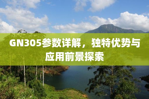 GN305参数详解，独特优势与应用前景探索
