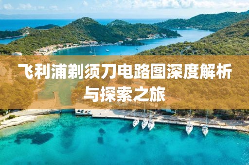 飞利浦剃须刀电路图深度解析与探索之旅