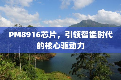 PM8916芯片，引领智能时代的核心驱动力