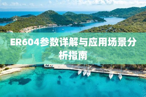 ER604参数详解与应用场景分析指南