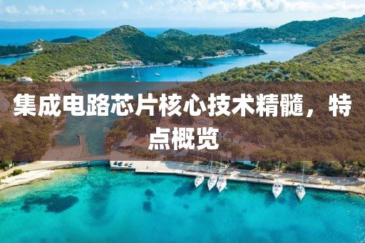 集成电路芯片核心技术精髓，特点概览