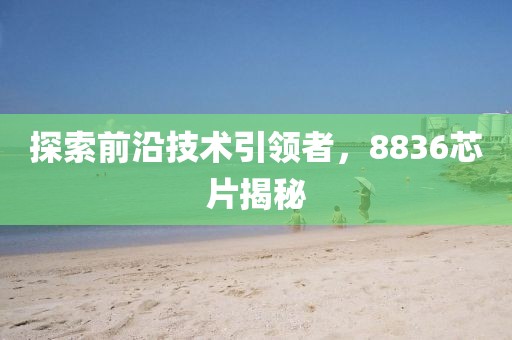 探索前沿技术引领者，8836芯片揭秘