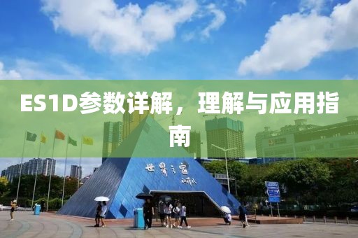 ES1D参数详解，理解与应用指南