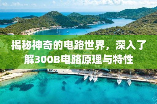 揭秘神奇的电路世界，深入了解300B电路原理与特性