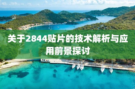 关于2844贴片的技术解析与应用前景探讨