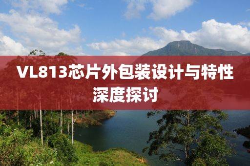VL813芯片外包装设计与特性深度探讨