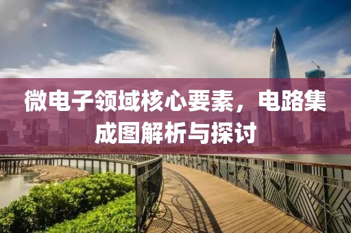 微电子领域核心要素，电路集成图解析与探讨