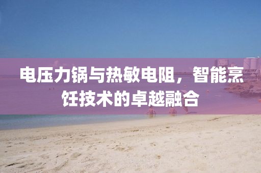 电压力锅与热敏电阻，智能烹饪技术的卓越融合