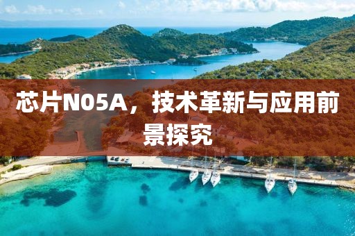 芯片N05A，技术革新与应用前景探究