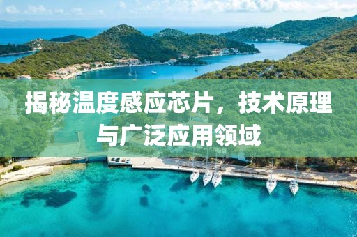 揭秘温度感应芯片，技术原理与广泛应用领域