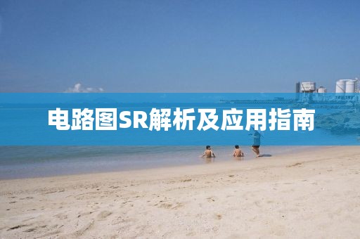 电路图SR解析及应用指南