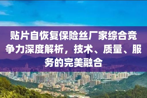贴片自恢复保险丝厂家综合竞争力深度解析，技术、质量、服务的完美融合