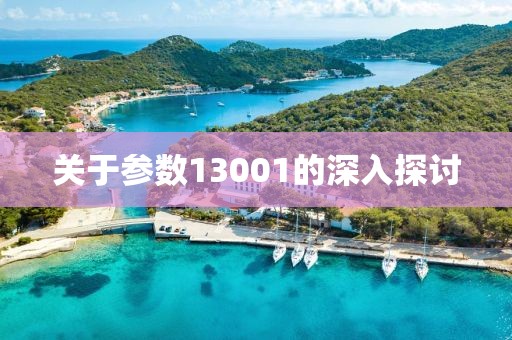 关于参数13001的深入探讨