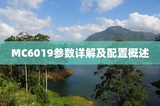 MC6019参数详解及配置概述