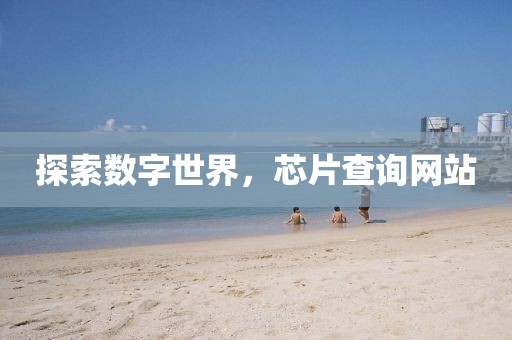 探索数字世界，芯片查询网站