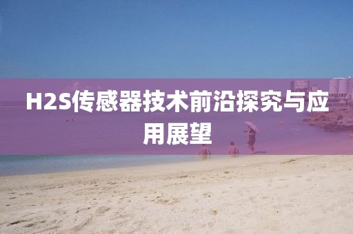 H2S传感器技术前沿探究与应用展望