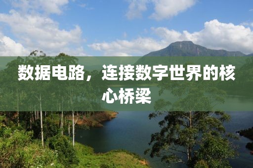 数据电路，连接数字世界的核心桥梁