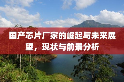 国产芯片厂家的崛起与未来展望，现状与前景分析