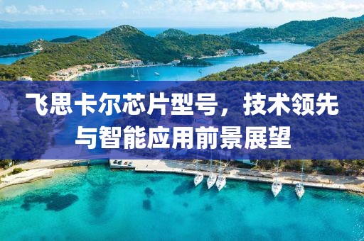 飞思卡尔芯片型号，技术领先与智能应用前景展望