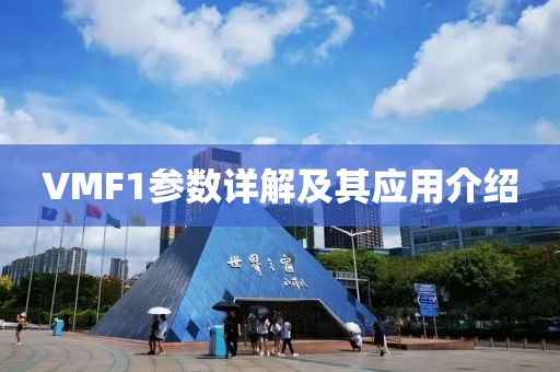 VMF1参数详解及其应用介绍