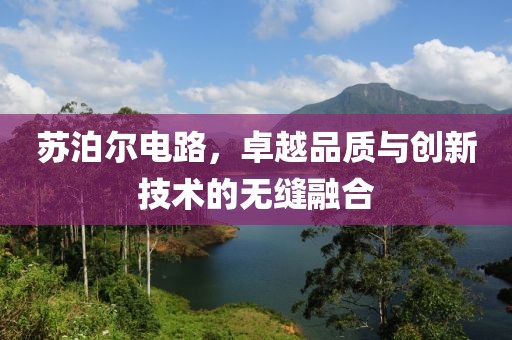 苏泊尔电路，卓越品质与创新技术的无缝融合