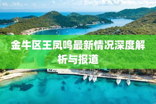 金牛区王凤鸣最新情况深度解析与报道