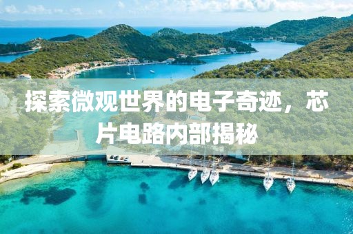 探索微观世界的电子奇迹，芯片电路内部揭秘