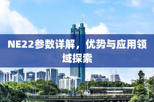 NE22参数详解，优势与应用领域探索