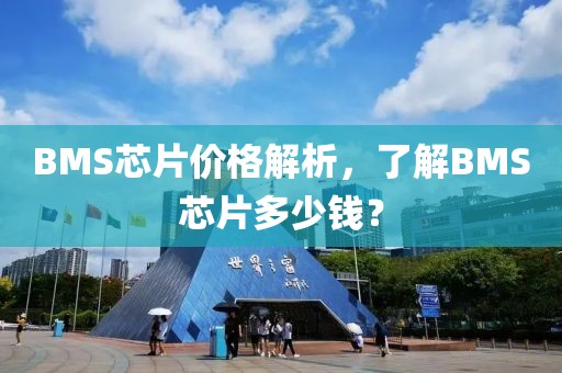 BMS芯片价格解析，了解BMS芯片多少钱？
