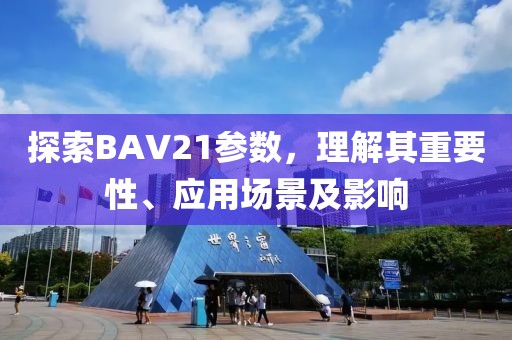 探索BAV21参数，理解其重要性、应用场景及影响