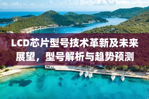 LCD芯片型号技术革新及未来展望，型号解析与趋势预测