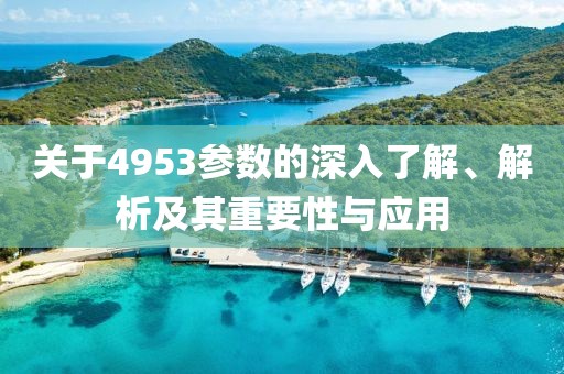 关于4953参数的深入了解、解析及其重要性与应用