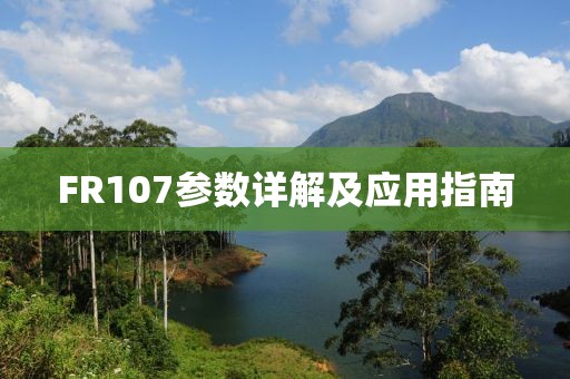 FR107参数详解及应用指南