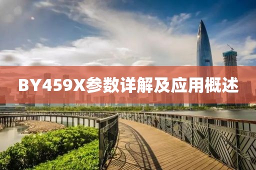 BY459X参数详解及应用概述