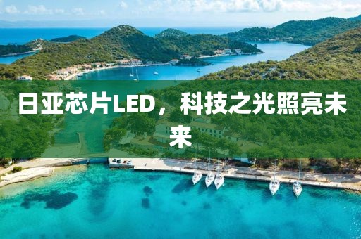 日亚芯片LED，科技之光照亮未来