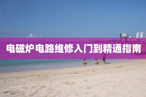 电磁炉电路维修入门到精通指南