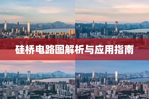硅桥电路图解析与应用指南