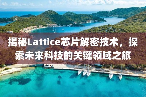 揭秘Lattice芯片解密技术，探索未来科技的关键领域之旅