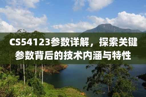 CS54123参数详解，探索关键参数背后的技术内涵与特性