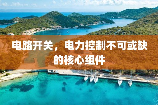 电路开关，电力控制不可或缺的核心组件