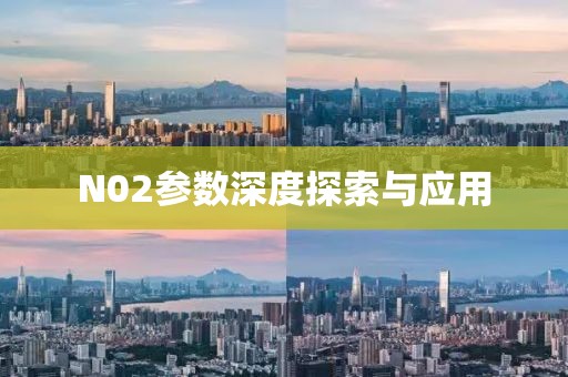 N02参数深度探索与应用